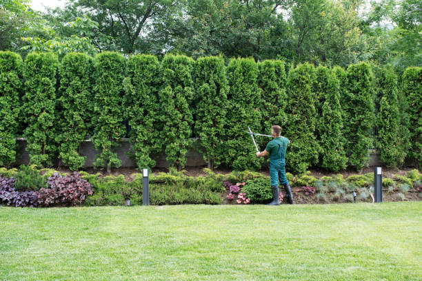 Lawn Grading and Leveling in Mcewen, TN